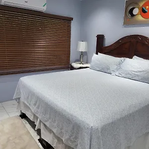 the-president-room-5-minutes-to-devon-house-6.comcaribbean.com/